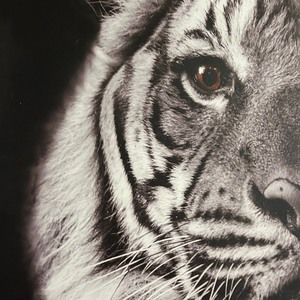 Meet your Posher, Thomas